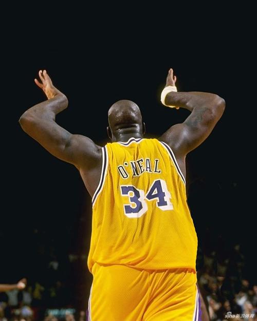 的行为中识 的行为中识